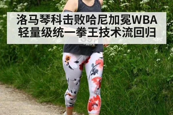 洛马琴科击败哈尼加冕WBA轻量级统一拳王技术流回归